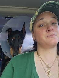 Oh my boy is struggling with his ears today. I think this is the reason.  They are cleaned regularly he is just losing his mind with them. I've  booked in at the