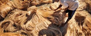 You can use synthetic or natural to style your hair into a protective style. What Is Banana Fibre And How Do You Make Textiles From It