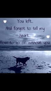 Here you will find some beautiful pet loss quotes and messages to write in a sympathy card, send as a text, to facebook messenger, or within a phone call. 30 Pets Ideas Pets Dog Quotes Dog Love