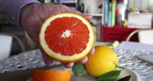 When it comes to growing, pure power plant is ideal for both novice and experienced growers alike. Visit A Nebraska Greenhouse That Grows Lemons And Oranges Nebraska Public Media