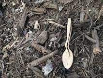 Is Compostable Cutlery Really Breaking Down? - capradio.org