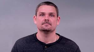 Niles man sentenced in Vienna porch package theft