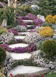 Pin By Carla Tewkesbury On My Beautiful Collections In 2020 Front Yard Landscaping Design Rock Garden Landscaping Landscaping A Slope