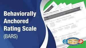 Image result for Behavioral Activity Rating Scale
