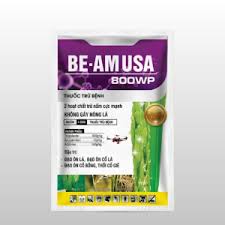 Be-amusa 810WP