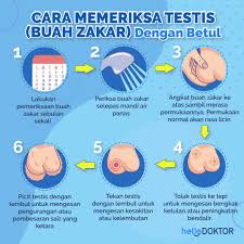 — human papilloma virus (hpv) enfeksiyonu — sigara — çok eşlilik — çok doğum — erken yaşta cinsel ilişki — bağışıklık sisteminin ilaçlarla baskılanması — beslenme faktörleri — genetik faktörler. Penyakit Prostat Kanser Prosedur Untuk Diagnosisnya Hello Doktor