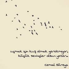 Cemalsureya Siir Kus Edebiyat Sanat Iyigeceler Gece Night Sahur Oruc Ucmak Siirsokakta Siirheryerde Yazar Book Kitap Kitapkurdu B Edebiyat Yazar Instagram