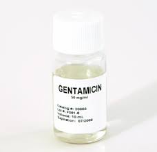 Image result for Gentamicin