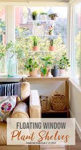 Check spelling or type a new query. Catching Rays With Window Plant Shelves