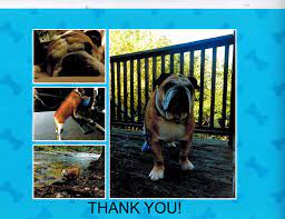 Check spelling or type a new query. Vellore Village Pet Hospital Home Facebook