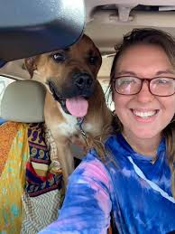 Finding breeder of adopted newfoundland dog?