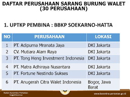 Maybe you would like to learn more about one of these? Bimbingan Teknis Gerakan Petani Peternak Milenial Berorientasi Ekspor Ppt Download