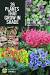 Low Maintenance Shade Plants