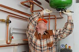 Just a heater, 4 shrimp and a snail. Plumbing Services Fort Collins Say Rip To Your Water Heater