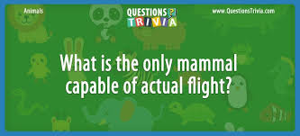 We're about to find out if you know all about greek gods, green eggs and ham, and zach galifianakis. Animal Trivia Questions And Quizzes Questionstrivia