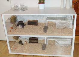 Guinea Pig Or Hedgehog Cage Out Of Bookshelf I Could Put That In My Room Guinea Pigs Cage Hamster Cage Lapin Cochon D Inde