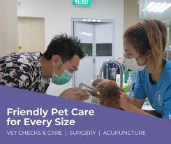 Veterinary surgery departmental mission our mission is to provide the highest quality surgical our surgeons and staff approach each patient with the care and compassion that exemplifies the both medical and surgical options are explained clearly and concisely. Home Slide Furrytails Veterinary Clinic
