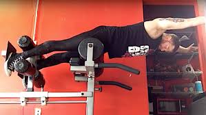 However, the spinal erectors travel the length of the entire spine. Save Yourself From Low Back Pain With These 9 Exercises Stack