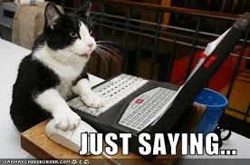 Image result for just saying