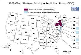 Mosquitoes turn into infected whenever. West Nile Virus Infection Causes Symptoms And Treatment