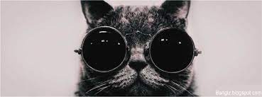 We did not find results for: Kumpulan Foto Sampul Keren Dan Unik Terbaru Untuk Facebook Bangiz