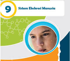 Check spelling or type a new query. Rangkuman Materi Ipa Kelas 8 Bab 9 Portal Edukasi