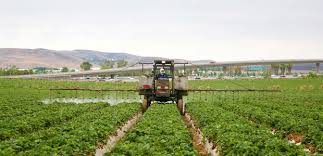 These study guides are … · study flashcards on pest control branch 2 license test at cram.com. California Bans Chlorpyrifos After Concerns For Children S Health Occupational Health Safety