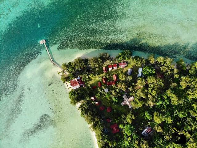 Carp Island Starfish Beach Resort Lagoon Palau
