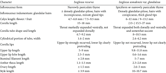 Image result for Isoglossa
