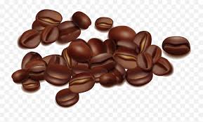 Coffee Bean Seed Transparent Coffee Beans Vector Png Free Transparent Png Images Pngaaa Com Including transparent png clip art, cartoon, icon, logo, silhouette, watercolors, outlines, etc. transparent coffee beans vector png