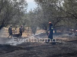 Σφακίων (χανιά) αγία άννα (εύβοια) άγιος νικόλαος εύβοιας (εύβοια) αλιβέρι (εύβοια) αμάρυνθος (εύβοια) ανθηδώνα (εύβοια) αυλωνάρι (εύβοια) βαθύ αυλίδας (εύβοια) βασιλικό (εύβοια). 87rq89wcnu1itm