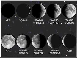 Moon Phases In Picture Waxing And Waning Crescent And Gibbous Crescent Moon Tattoo Meaning Moon Phases Moon Goddess