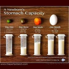 Newborn Stomach Capacity Tips Charts Ftm New Mommy Tips