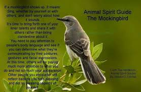 Birds And Their Spiritual Meanings The Mockingbird Animal Spirit Guides Animal Reiki Animal Guides