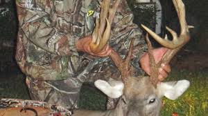 N.C. has new No. 2 typical bow buck