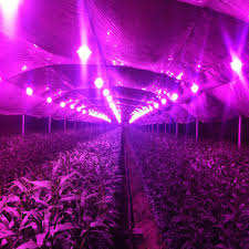 Shop indoor & outdoor lighting styles! 100w Ac 220v Led Grow Light Chip Full Spectrum 380nm 840nm Best For Hydroponics Plants Diy Integrated Driver Led Grow Lamps Full Spectrum Led Grow Lampled Grow Aliexpress