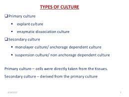 Different types of animal cell culture. Bioreactors For Animal Cell Suspension Culture