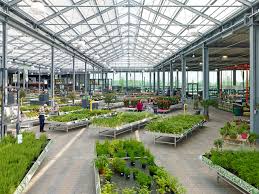 Ssp Gartenwelt Emsburen