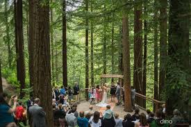 Get menu, photos and location information for the deck in portland or. Hoyt Arboretum Redwoods Portland Wedding Photographer Portland Wedding Photographer Portland Weddings Portland Oregon Wedding