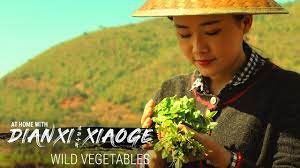 Dianxi Xiaoge Teaches Us How To Forage For Wild Greens At Home With Dxxg E5 Youtube Foraging Greens Girl Cooking