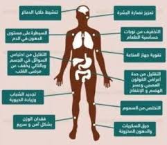 معلومات اهم 10 فوائد من الصيام للصحة سوف تفاجأك comic book cover book cover comic books