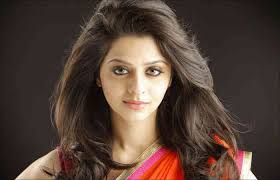 વેદિકા કુમાર માણી રહી છે પ્રથમ હિન્દી ફિલ્મની સફળતાનો આનંદ