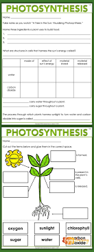 Enjoy Teaching Plants With Biology Activities For Kids Photosynthesis Activities Biology Activity Photosynthesis Worksheet
