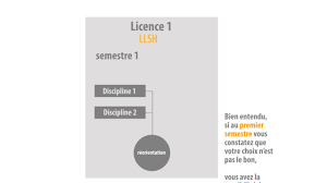 Modèle de lettre de motivation licence (projet de formation motivé). Lettres Langues Sciences Humaines Universite D Orleans