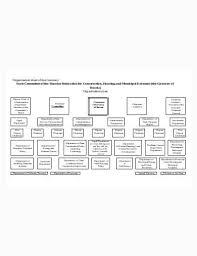 Free 10 Construction Organizational Chart Samples In Pdf Doc