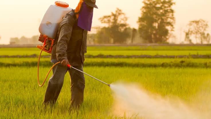 Os cinco erros mais comuns na aplica&ccedil;&atilde;o de defensivos - Revista Globo Rural | Agricultura