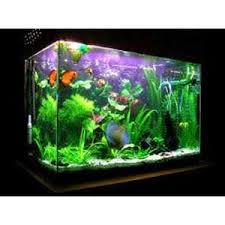 Oct 16, 2020 · @universityofky posted on their instagram profile: Jual Aquarium Harga Terbaru 2021 Indonetwork Dikalimantan Selatan