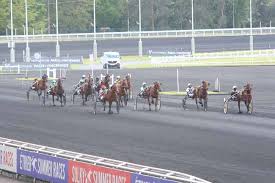 Communication des résultats  le test basé sur les normes compte pour 30 % de la note finale de cours de l'élève. Pmu Resultat Quinte De La Course Prix Huberta 30 Avr 2021 Canalturf