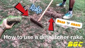 Free shipping on qualified orders. How To Use A Dethatcher Rake And Is Dethatching Good For Your Lawn Youtube
