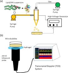 Berkas paling lambat kami terima tanggal 13 juli 2021. Fabrication Of Ultrasound Responsive Microbubbles Via Coaxial Electrohydrodynamic Atomization For Triggered Release Of Tpa Sciencedirect